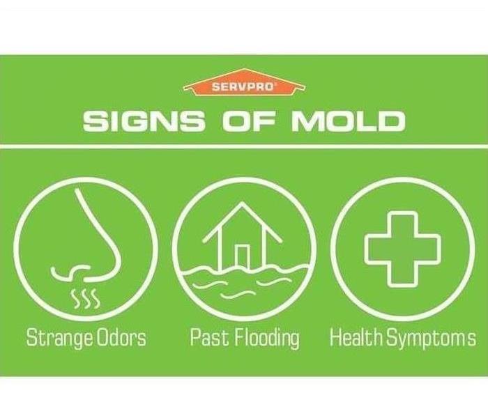 Signs of mold image