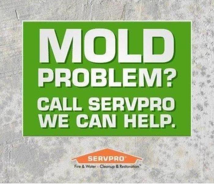 Text saying "Mold problem?"