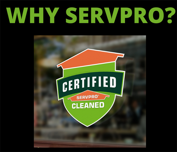 Certified: SERVPRO Cleaned logo on window with text